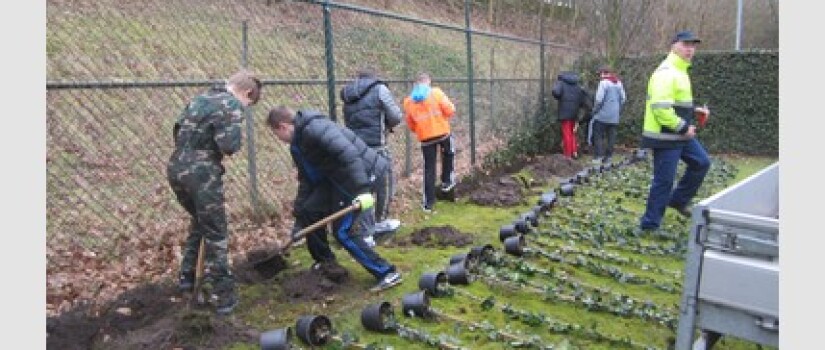 ZO-Sportpark-Steijnlaan_(0)