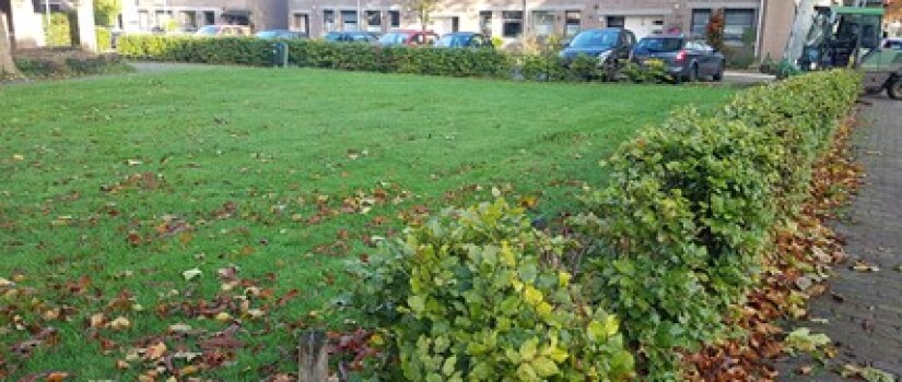 NW-Gageldonk-Brandebeemd-WD_(4)