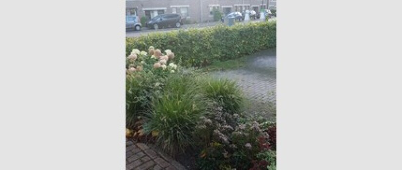 NW-Gageldonk-Brandebeemd-WD_(3)