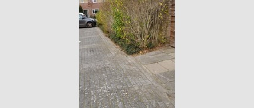 NW-Prinsenbeek-Boterbloemstraat_(1)