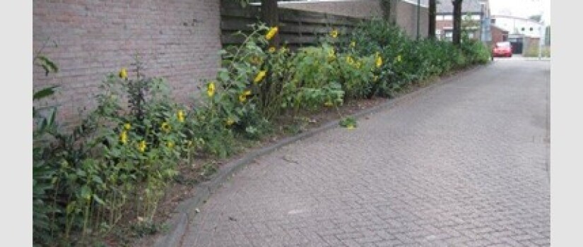 NW-Prinsenbeek-Schoolstraat_(0)