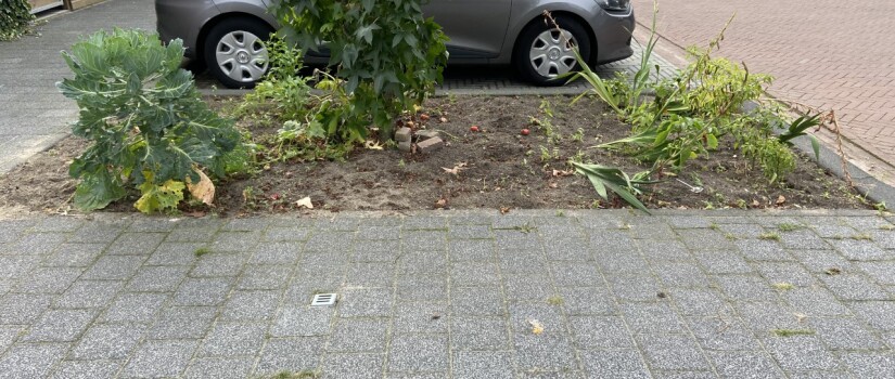 parkeerplaatstuintje_1